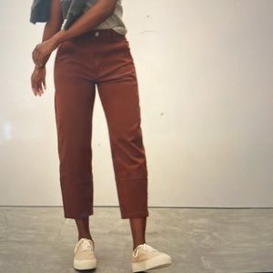 Everlane Cropped Utility Barrel Pant in Rosewood